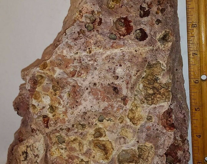 Pitting In Rocks Flat #rock #pillar Pitted From Ancient Rainfall 100% #natural Plant ...