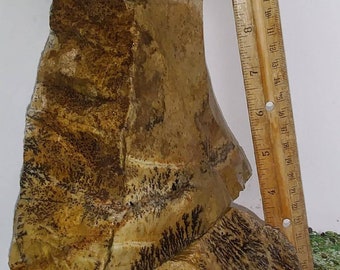 XL Fossil Like #Rock #Pillar #Aquascaping Set Natural Sandstone #fishtank #FZ2
