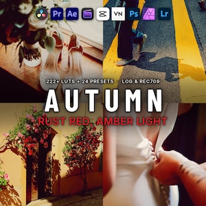 May include: A digital product display featuring four quadrants: white high-heeled shoes, a person walking on a yellow-striped road, pink flowers on a yellow wall, and a white button-down garment. Text reads: 222+ LUTS + 24 PRESETS, AUTUMN, RUST RED, AMBER LIGHT.