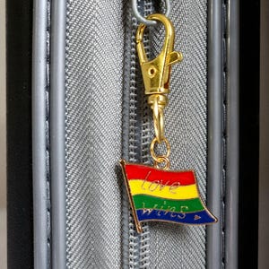 May include: A gold-coloured charm featuring a rainbow flag design with the words "love wins" in white script. The charm is attached to a silver zip.