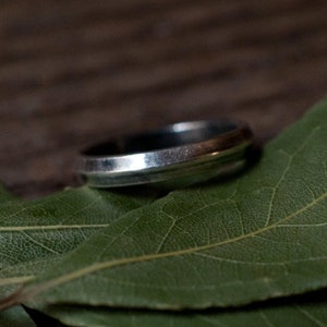Peut inclure: Une bague en argent avec une bande texturée posée sur un tas de feuilles de laurier vertes.