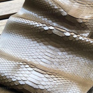 Vera pelle di pitone per progetti artigianali, colore marrone champagne/tortora, ideale per calzolai.