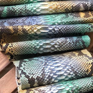 May include: A collection of rolled snakeskin leather pieces featuring a gradient of teal, yellow, and dark brown scales. The textured reptile hide displays a natural pattern with overlapping scales, arranged in multiple layers on a surface.
