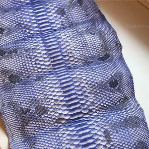 Vera pelle di serpente / Pelle di rettile blu per lavori artigianali