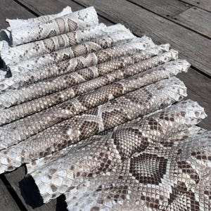 May include: A stack of multiple sheets of genuine snakeskin leather featuring a natural scale pattern in shades of white, cream, and dark brown. The textured material is layered in overlapping folds, displaying the intricate diamond-shaped scales.