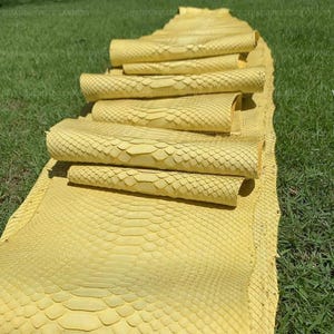 May include: A long, bright yellow snakeskin hide with a distinct, repeating diamond-shaped scale pattern. The leather is folded over itself in several horizontal layers, showcasing the textured surface and the natural grain of the material.