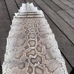 May include: A long, flat piece of natural snakeskin leather featuring a repeating scale pattern in shades of off-white, cream, and light brown. The hide is folded at the top end, displaying a textured surface with a distinct, organic diamond-shaped motif.