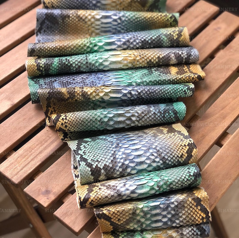 Peut inclure: Une collection de morceaux de peau de serpent enroul&eacute;s pr&eacute;sentant un d&eacute;grad&eacute; de couleurs incluant le bleu sarcelle, le jaune et le brun fonc&eacute;. Les &eacute;cailles sont dispos&eacute;es en un motif r&eacute;p&eacute;titif sur la surface de chaque rouleau.