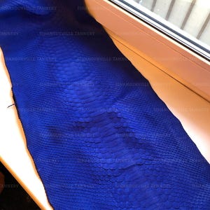 May include: A vibrant royal blue snakeskin hide featuring a distinct, symmetrical scale pattern running down the center. The leather surface displays a consistent deep blue hue with a natural texture. The text SIHANOUKVILLE TANNERY is visible.