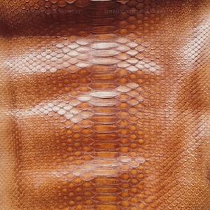 Genuine Borneo Python Leather Hide Honey Brown Glossy Finish | Belly Skin Snakeskin Leather for Bags Wallets Shoes & Leathercraft
