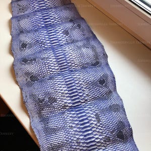 May include: A long, flat piece of blue snakeskin leather featuring a distinct, repeating diamond-shaped scale pattern. The surface displays a vibrant blue hue with darker, greyish-blue markings throughout. The text SIHANOUKVILLE TANNERY is visible.