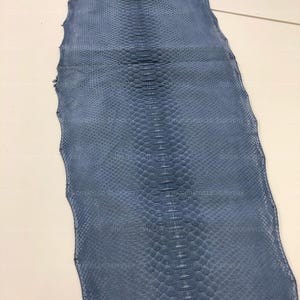 May include: A flat, elongated piece of blue snakeskin leather featuring a distinct, symmetrical scale pattern running down the center. The texture is uniform with small, tightly packed scales on the sides and larger, rectangular scales along the spine.