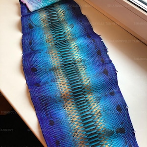 May include: A long, flat piece of snakeskin leather featuring a vibrant gradient of deep blue and bright turquoise. The center displays a prominent row of dark, rectangular scales flanked by shimmering gold-toned accents, with a repeating texture.