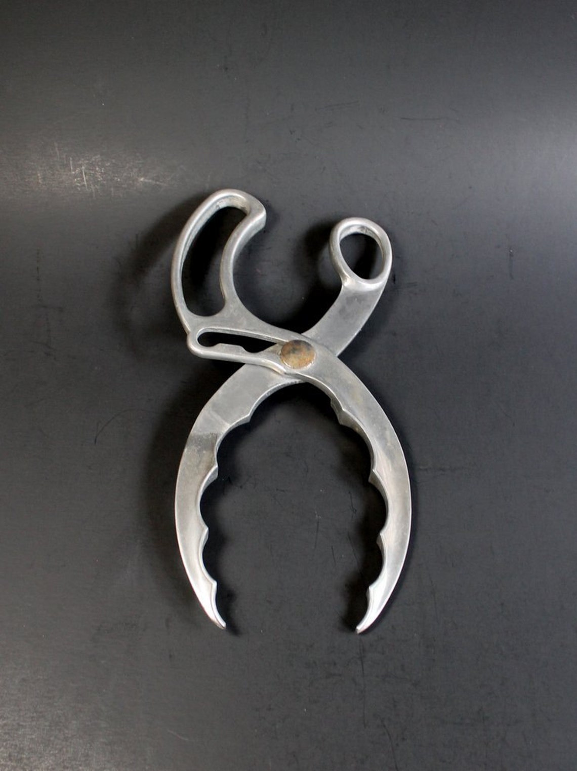 Rare Kitchen Canning Tool Jar Lid Tightener Jar Opener Etsy