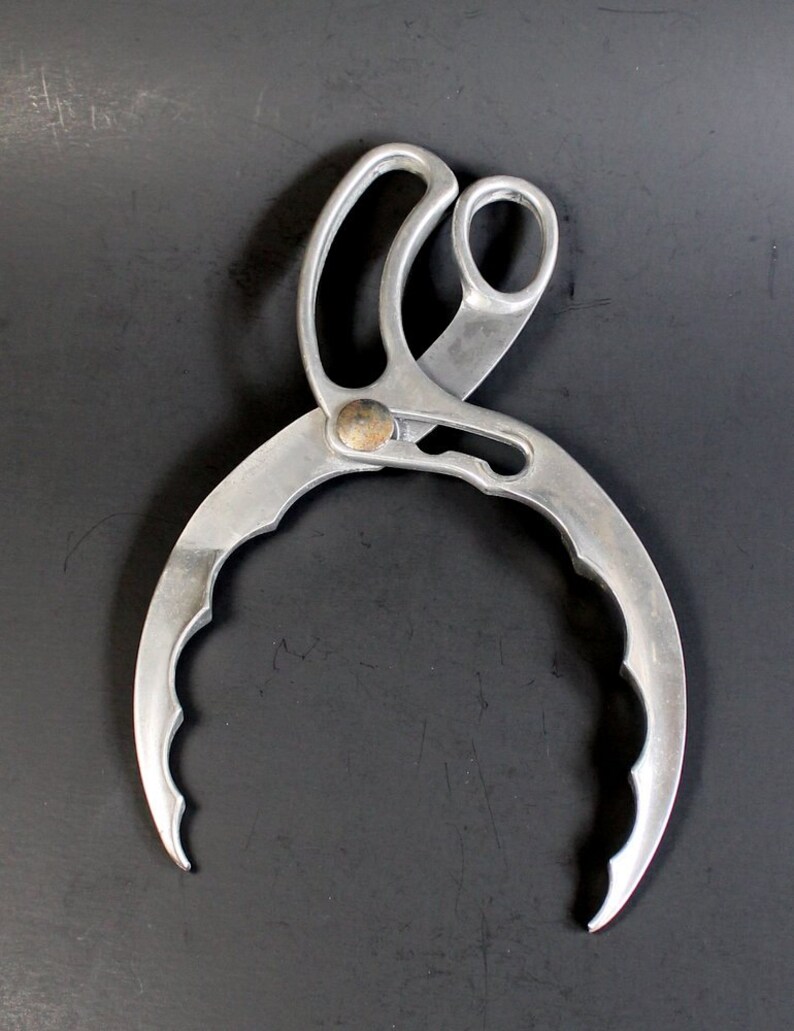 Rare Kitchen Canning Tool Jar Lid Tightener Jar Opener Etsy