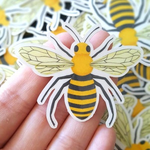 Honey Bee - Cute - Vinyl Sticker - Hydroflask Stickers - Hand Drawn - Decals - Transparent