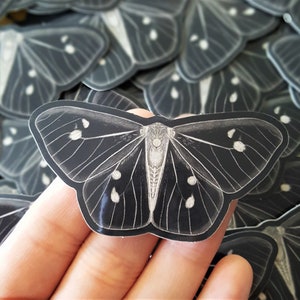 White Moth - Cute - Vinyl Sticker - Hydroflask Stickers - Hand Drawn - Decals