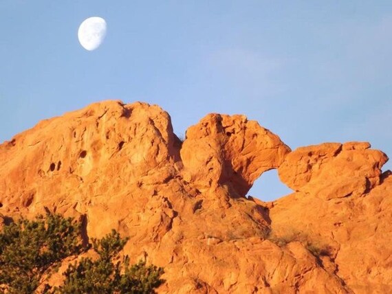 Kissing Camels Under The Moon At Garden Of The Gods Etsy