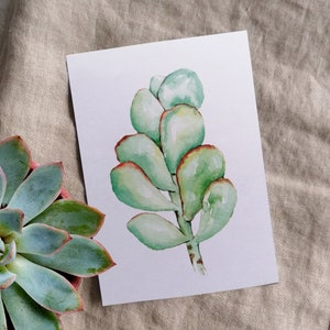 Carte de vœux aquarelle – Succulente délicate – Peinture botanique – Délicate et élégante – Pour anniversaires, mariages et fête des mères – DIN A6
