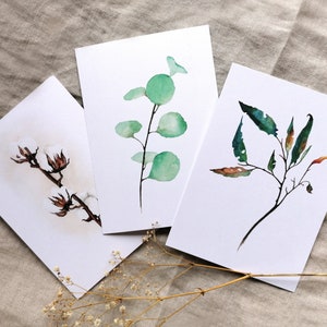 Set di biglietti d'auguri – Acquerello botanico – Delicato ed elegante – Per compleanni, matrimoni e festa della mamma – DIN A6