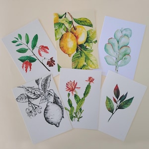 Lot de cartes – Illustrations à l’aquarelle – Peintures et dessins botaniques – Anniversaire, Mariage, Fête des Mères – Élégant – DIN A6