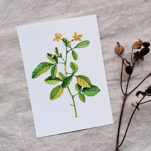 Carte de vœux avec motif végétal aquarelle, fleurs jaunes – Simple, élégante et intemporelle – Parfaite pour toutes les occasions – DIN A6