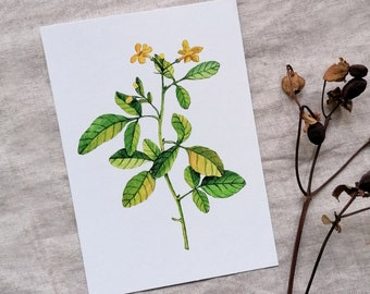 Biglietto d'auguri con motivo vegetale acquerellato, fiori gialli – Semplice, elegante e senza tempo – Perfetto per ogni occasione – DIN A6