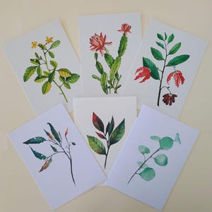 Conjunto de cartões comemorativos em aquarela – Ilustrações botânicas, cactos, eucaliptos – Elegante e atemporal – Para aniversários, casamentos e dia das mães – DIN A6