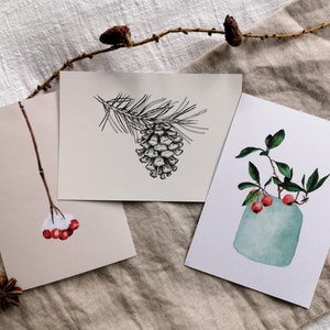Set di biglietti d'auguri – Acquerello botanico – Bacche rosse, pigne – Raffinato ed elegante – Per Natale e ringraziamento – DIN A6