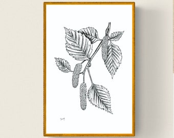 Ink drawing • Botanical • Hazelnut • Printable Art • Digital File • Wall Art
