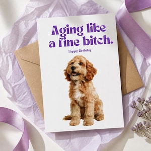 Könnte beinhalten: Eine weiße Geburtstagskarte mit einer Illustration eines braun-weißen Hundes mit lockigem Fell. Der Text lautet, Aging like a fine bitch. Happy Birthday in violetter Schrift. Die Karte liegt auf einem braunen Umschlag und violettem Seidenpapier.