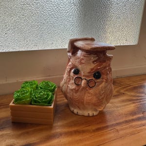 May include: A ceramic owl figurine with a hat and small round glasses. Next to the owl is a small wooden box with four green, rose-shaped objects. The owl is brown and white with black eyes.