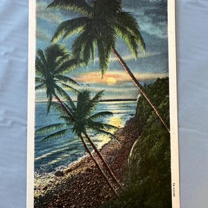 May include: Vintage postcard featuring a Hawaiian beach scene at sunset. Palm trees frame the ocean view, with the text "HAWAIIAN MOONLIGHT, HAWAII" at the top. The postcard has a white border and a blue background.