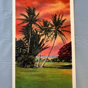 May include: Vintage postcard featuring a tropical scene with palm trees silhouetted against a vibrant sunset. The text "MOANALUA PALMS", HAWAII" is printed at the top. Lush green grass and a red-orange sky create a colorful landscape.