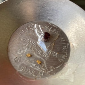Little Creek Mining Gold Rush A Garnet and Gold Flake