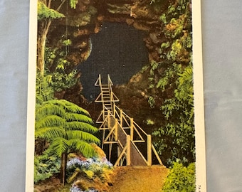 May include: Vintage postcard featuring Thurston Lava Tube in Hawaii National Park. The image shows a wooden staircase leading into a dark cave opening, surrounded by lush green foliage and ferns. The postcard has a white border and the text "Thurston Lava Tube, Hawaii National Park".