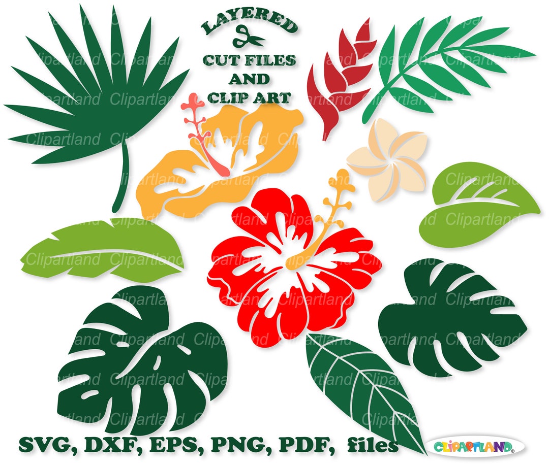 INSTANT Download. Tropical Flowers and Leaves Svg Cut File and Clip Art. Commercial License is
