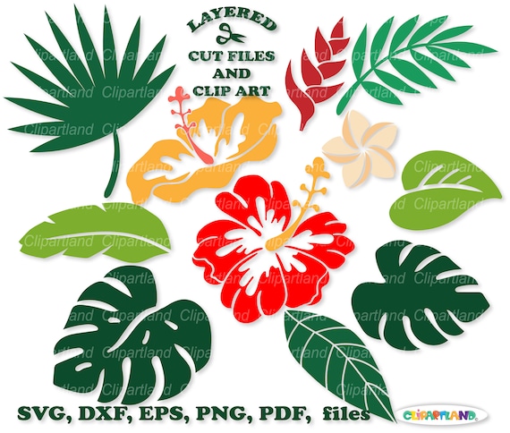 INSTANT Download. Tropical Flowers and Leaves Svg Cut File and - Etsy