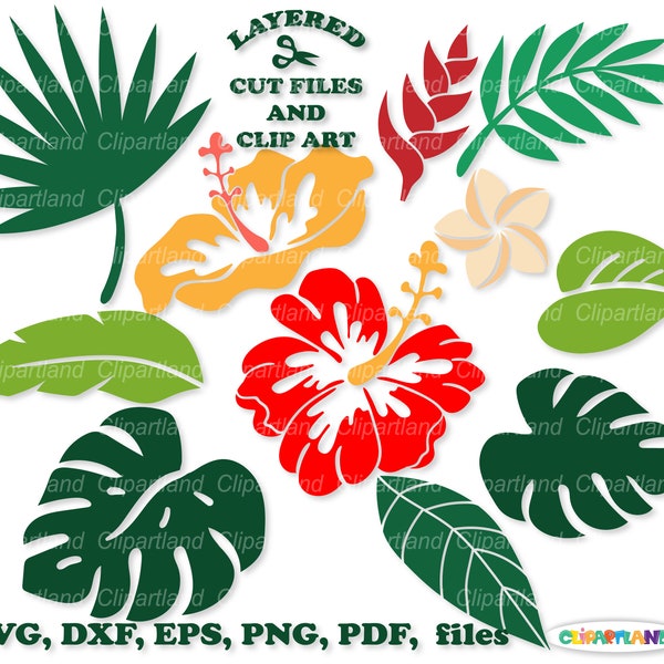 INSTANT Download. Tropical flowers and leaves svg cut file and clip art. Commercial license is included ! Tf_1.