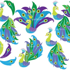 INSTANT Download.  Peacock clip art. Cp_2. Personal and commercial use.