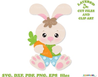 May include: A cute cartoon bunny rabbit with brown ears, brown hair, and blue eyes is holding a carrot in its paws. The bunny is wearing a blue and white polka dot shirt and green pants. The image is a layered cut file and clip art.