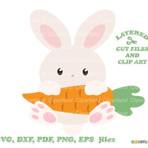 INSTANT Download. Easter bunny svg. Cute little peeking bunny svg cut file. Personal and commercial use. B_63.