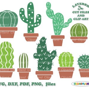 Descarga instantánea. Lindo archivo de corte svg de cactus y imágenes prediseñadas. ¡La licencia comercial está incluida! C_4.