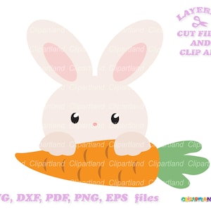 INSTANT Download. Easter bunny svg. Cute little peeking bunny svg cut file. Personal and commercial use. B_56.