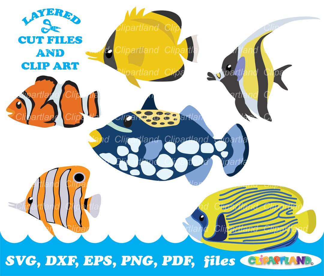 INSTANT Download. Sea Fish Svg Cut File and Clip Art. Commercial