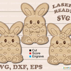 Download IMMEDIATO. Kit di pittura SVG. Set di uova da colorare fai da te per Pasqua. File di taglio SVG per laser. E_76.
