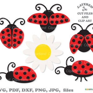 Download istantaneo. Coccinella in formato SVG. File di taglio SVG di coccinella carina per Cricut, Silhouette e clip art. La licenza commerciale è inclusa! L_1.