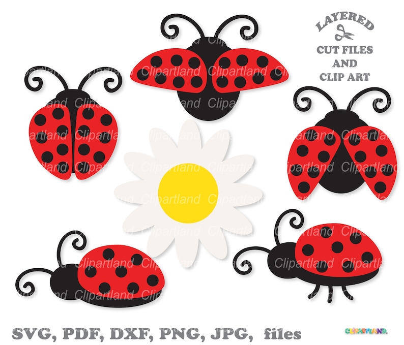 INSTANT Download. Ladybug Svg. Cute Ladybird Svg Cut File for - Etsy
