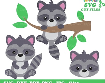 Cute Raccoon Clipart & SVG Cut File (Digital Download)