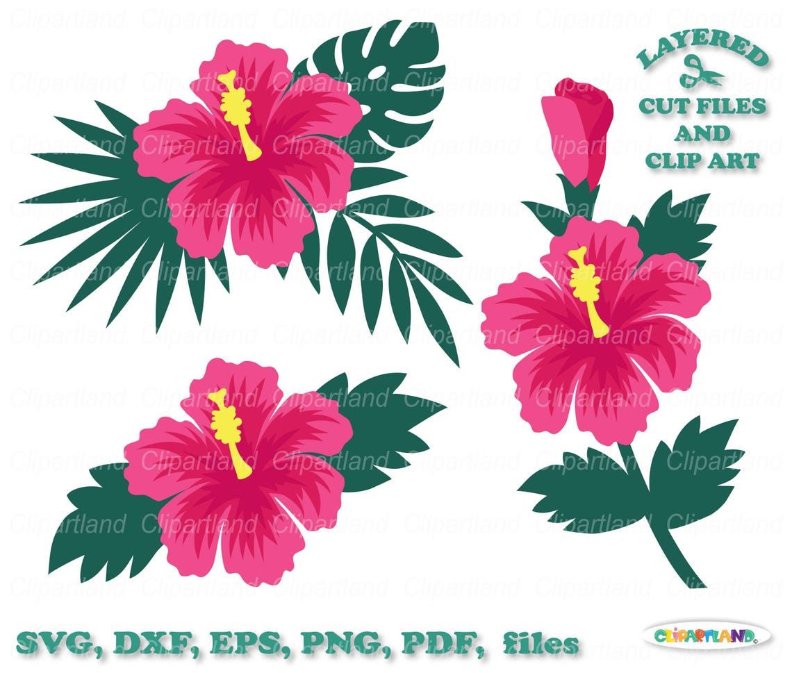 Hibiscus Flower SVG Cut File & Clipart (digital Download) - Etsy